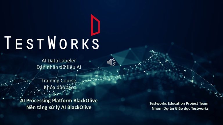 Khóa học sơ cấp tìm hiểu về nghề dán nhãn dữ liệu